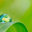 Eco Industries