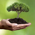 Eco Industries
