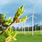 Eco Industries