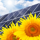 Eco Industries